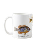 3 Sunfish on a mug