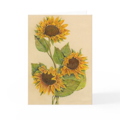 3 Sunflowers Greeting Card (Blank Inside) by NikiRoo