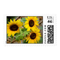 3 Sunflowers postage