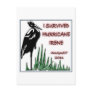 #3 Survived Hurricane Irene Postcard