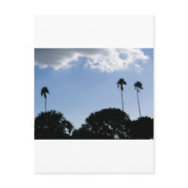3 Tall Palms postcards by Debrene 3 Tall Palms postcards