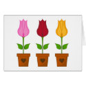 3 Tulips in Pots Card