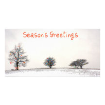 3 white trees  xmas personalized photo card