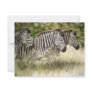3 Zebra Invitations