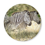 3  Zebra Magnate Magnets