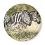 3  Zebra Magnate Magnets