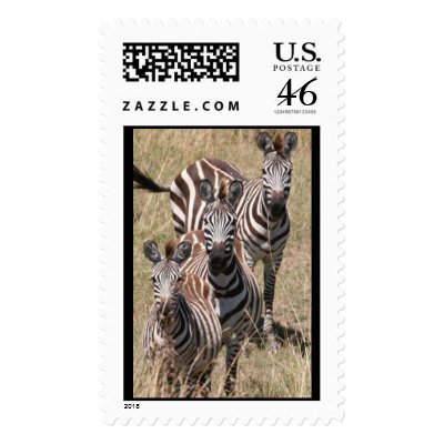 3 zebras stamp by iluvsrk