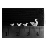 3cm Family Swim Greeting Card