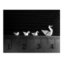 3cm Family Swim postcards