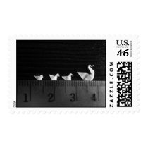 3cm Family Swim postage
