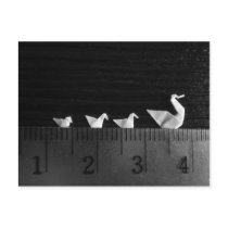 3cm Family Swim postcards