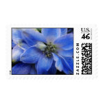 3copy stamp