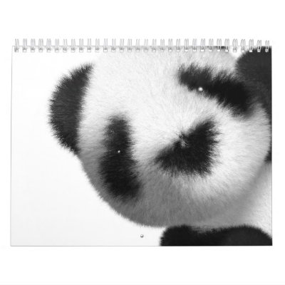 3d Baby Panda 2012 Calendar 3d Baby Panda 2012 Calendar