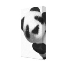 3d Baby Panda Peeps Gallery Wrapped Canvas