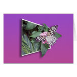 3D Butterfly Greeting Card 1