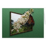 3D Butterfly Greeting Card 2