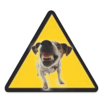 3D Dog Crossing Sticker
