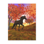 3d Fall Horse Postcards