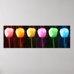 3D Flower Pattern posters