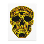 3D Gold Skull Post Cards