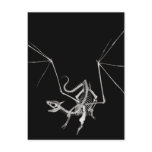 3D Halftone Skeleton Dragon 4 Post Cards