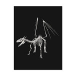 3D Halftone Skeleton Dragon 5 Postcard