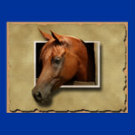 3D Horse Poster posters
