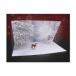 3D Illusion "Snowy Dreams" - Winter Postcard
