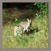 3D Kangaroo Anaglyph poster posters
