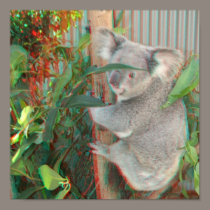 3D Koala Poster posters