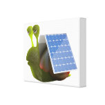 solar panel, snail, cute, silly, solar cell,