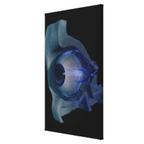 3d wireframe of the eye muscles in a socket canvas prints