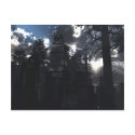 3DHQ Postcard
