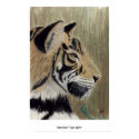 3dmodelz "Tiger Spirit" posters