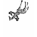 3GiraffeROJO shirt