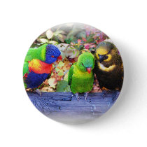 3Lorikeets_0987 buttons