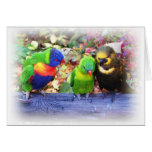 3Lorikeets_0987 3Lorikeets_0987
