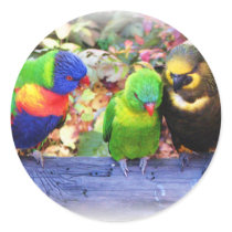 3Lorikeets_0987 stickers