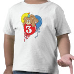 3rd Birthday Teddy Bear (2) T Shirt