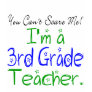 3rd Grade Teacher Tee
