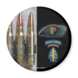 3rd special forces flash patch iraq magnet nam vfw