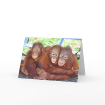 3's Not a Crowd - Orangutan Babies cards by Rebecca_Reeder 3's Not a Crowd - Orangutan Babies cards