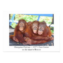 3's Not a Crowd - Orangutan Babies posters by Rebecca_Reeder 3's Not a Crowd - Orangutan Babies posters