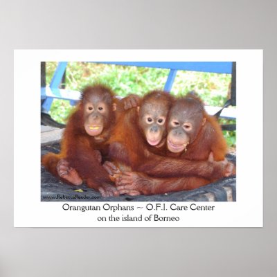 3's Not a Crowd - Orangutan Babies Print by Rebecca_Reeder