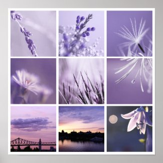 3x3 purple nature photos Print print