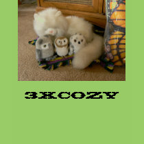 3XCozy t-shirts