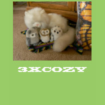 3XCozy t-shirts
