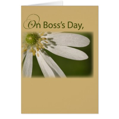 4003 Boss's Day , White Flower Greeting Cards by sandrarosecreations