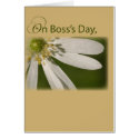 4003 Boss's Day , White Flower cards