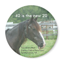 40 is the new 20 magnets